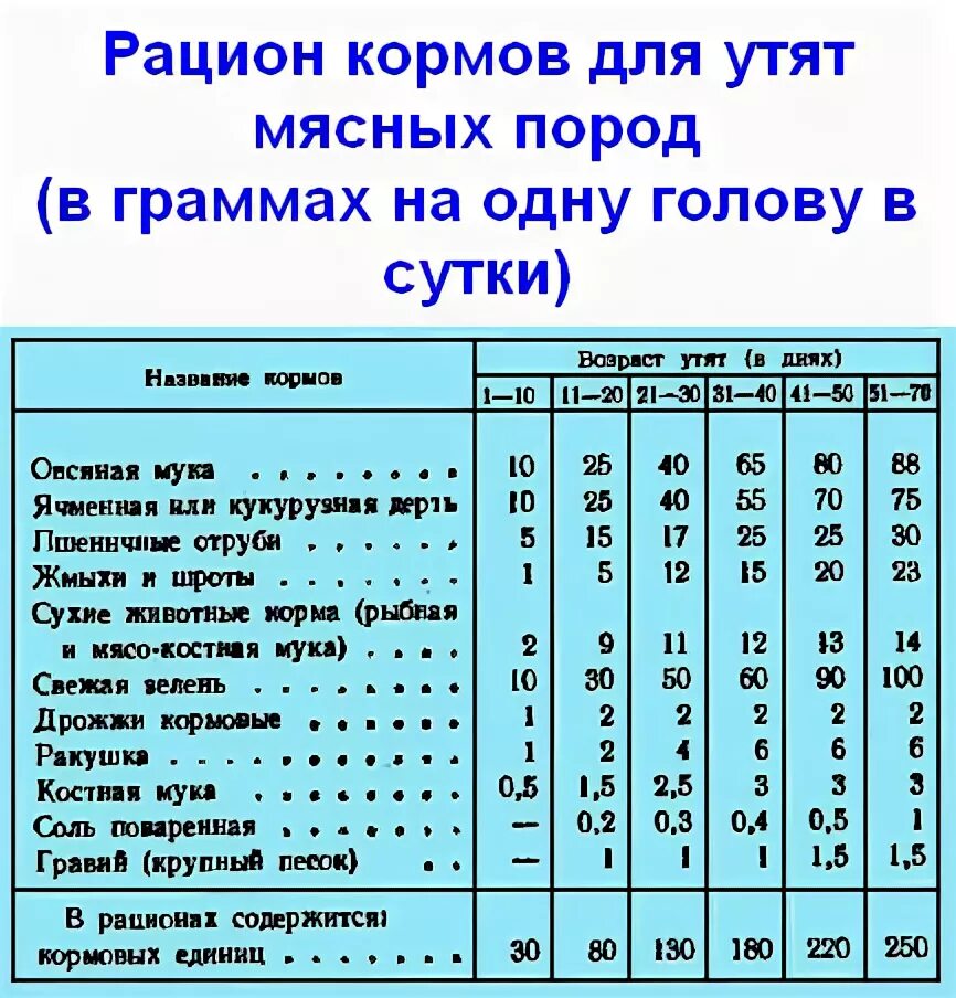 Чем кормить суточных гусят. Кормление таблица кормления утят мулардов. Таблица кормления уток комбикормом. Рацион уток мулардов. Рацион кормления мускусных уток.