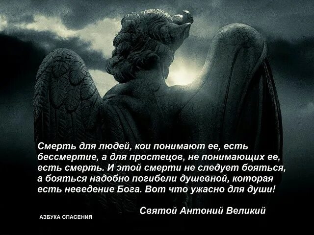 Ангел смерти. Ангел смерти цитаты. Цитаты про ангела смерти. Стихи про ангела смерти. Смерть кличка