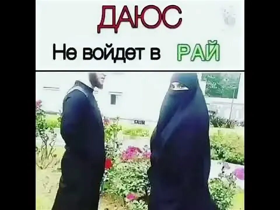 Что такое даюс в исламе. Даюс не войдет в рай. даюс в исламе. даюс не войдет в рай хадис. даюс женщина в исламе.
