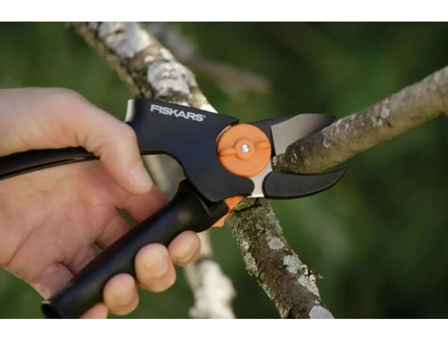 Секатор для деревьев рейтинг. Секатор fiskars с вращающейся ручкой. секатор с силовым приводом. садовые ножницы с силовым приводом.