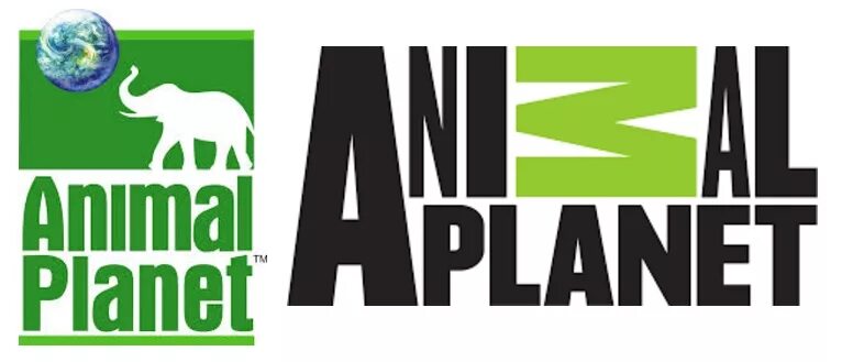 Тв канал живая. Телеканал animal Planet. Animal Planet старый логотип. Канал Энимал планет. Энимал планет логотип канала.