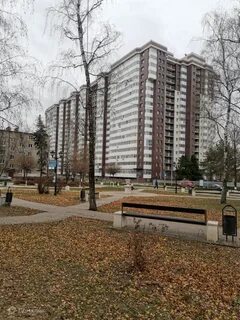 Старая купавна 2
