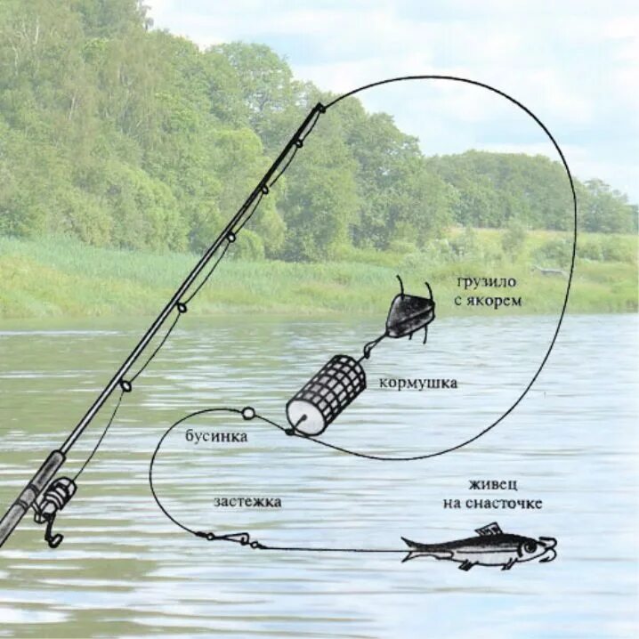 Можно ли ловить рыбу на удочку. Фидер донка оснастка. Схема оснастки фидерного удилища. Оснастка удочки для фидерной ловли. Оснастка донной ловли для спиннинга.