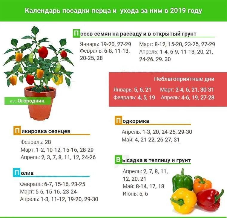 Посев перца сладкого в феврале. Таблица посева сладкого перца на рассаду. Посадка перца на рассаду в 2022 году по лунному. Благоприятные дни для посадки перца на рассаду. Перец на рассаду благоприятные дни.