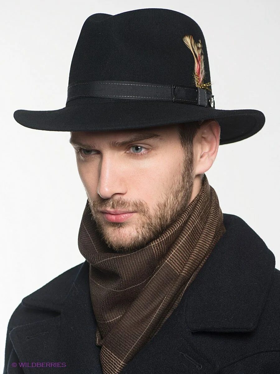 Бизон шляпа мужская арт.11295219. Головные уборы для мужчин. Модные мужские шляпы. Шляпа с полями мужская.