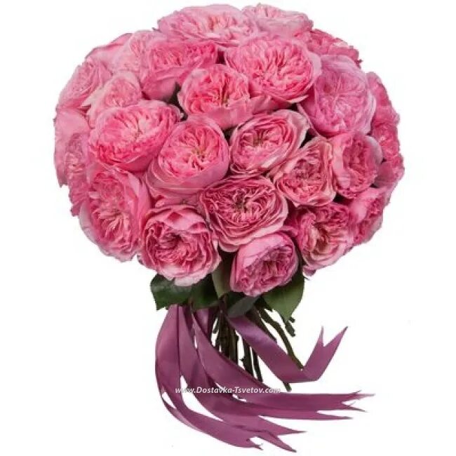 Букет розовый купить. Пионообразные розы букет. Цветы букет пионовидные розы.