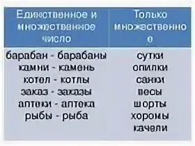 Употребляемое только во множественном числе. Слова в единственном и множественном числе. единственное и множественное число. существительные единственного и множественного числа. слова во множественном числе.