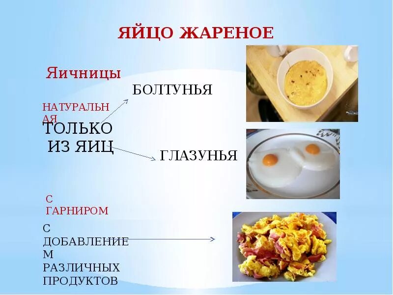 Алгоритм яичницы. Технология приготовления яичницы. презентация яичница. способы и методы приготовления блюд из яиц. презентация на тему блюда из яиц.