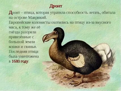 Исчезнувших по вине человека