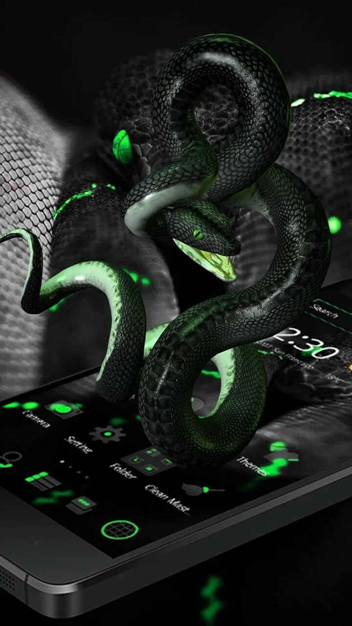 Змей на заставку телефона. Змеи. Черно зеленая змея. Змея черная с зеленым. Черно зеленые змеи.