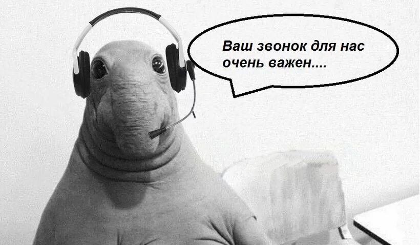 Оператор прикол. Оператор колл центра прикол. смешной оператор колл центра. колл центр прикол. колл центр мем.