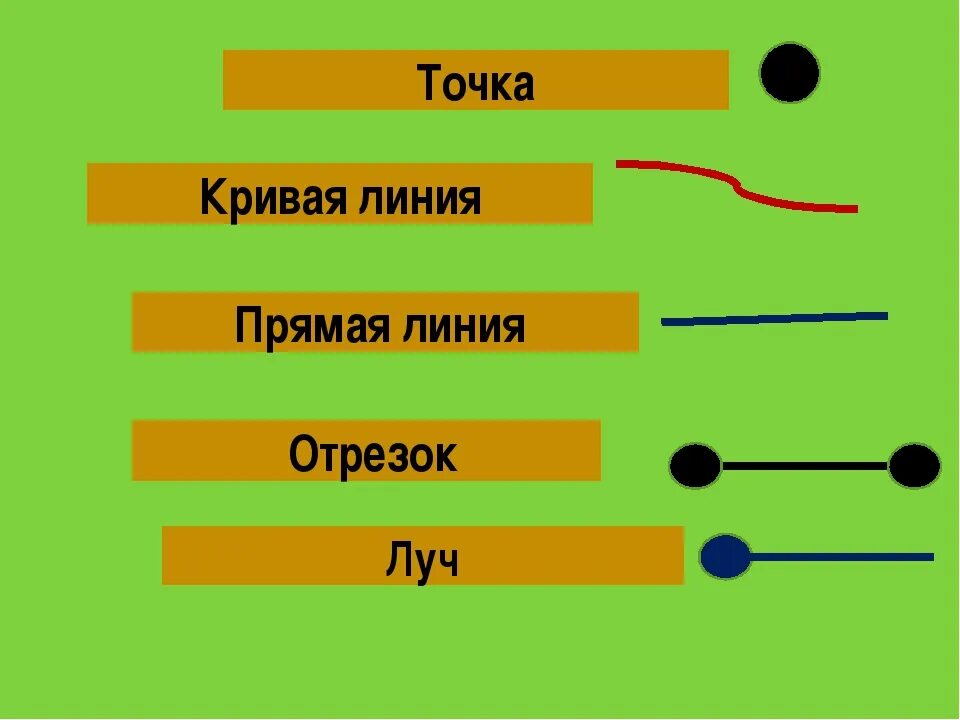 Линия точка ру. Прямая линия Луч отрезок 1 класс. Точка кривая линия прямая отрезок Луч 1 класс. Прямые линии кривые лучи отрезки. Точка кривая линия прямая линия отрезок Луч.