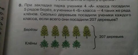 Ели 3 а класс