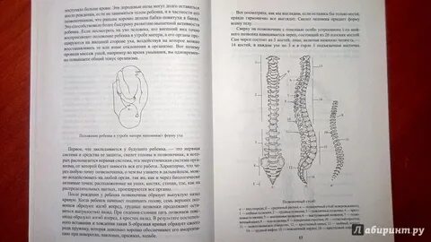 Неумывакин суставы