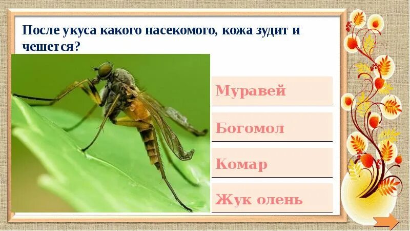 Найди в учебнике сведения о том чем питаются разные насекомые. Вспомните какое животное питается комарами и впишите в схему. Интерактивные насекомые. Что животное питается комарами и впишите в схему номер 1 его название.