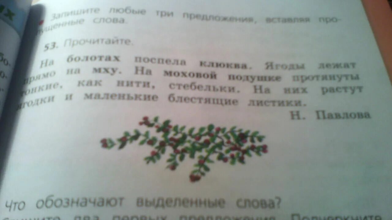 Какую работу в словах выполняют выделенные слова. Что обозначают выделенные слова. Как обозначаются выделенные слова. Прочитайте . Что обозначают выделенные слова . 3 Класс. Что обозначают выделенные слова упражнение 53 2 класс.