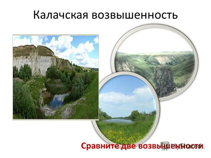 окско донская возвышенность