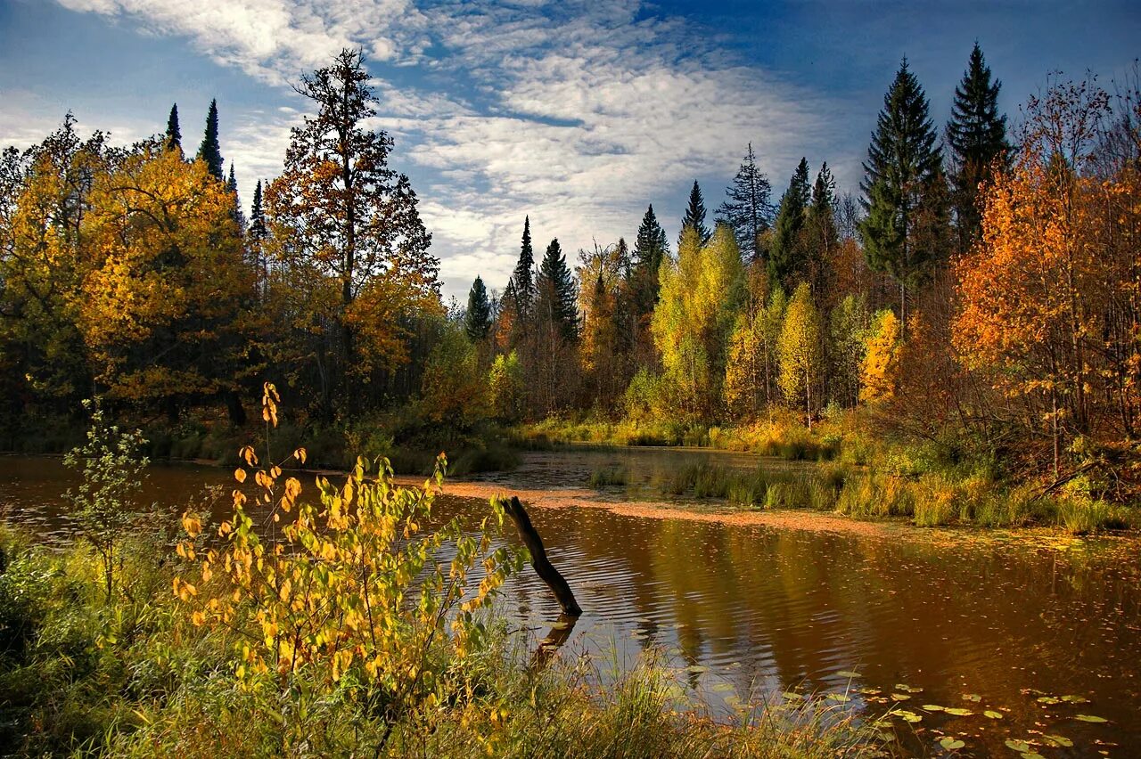 Пейзажи россии. Пейзаж. Осенний пейзаж. Осень в России.