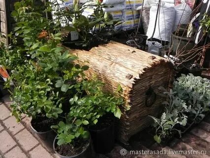 Мастера сада