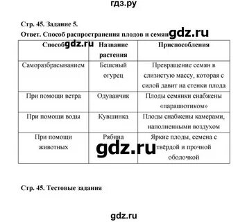 Биология рабочая тетрадь 5 класс стр 45