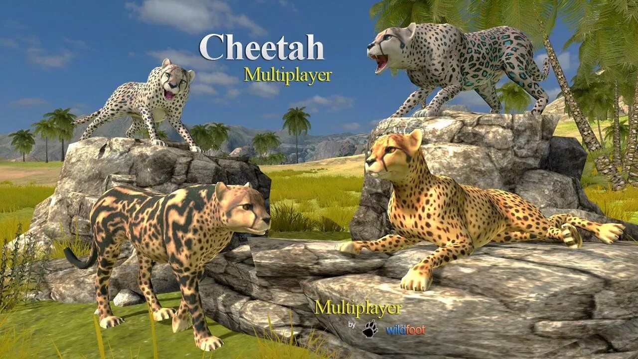 Cheaters cheetah читы