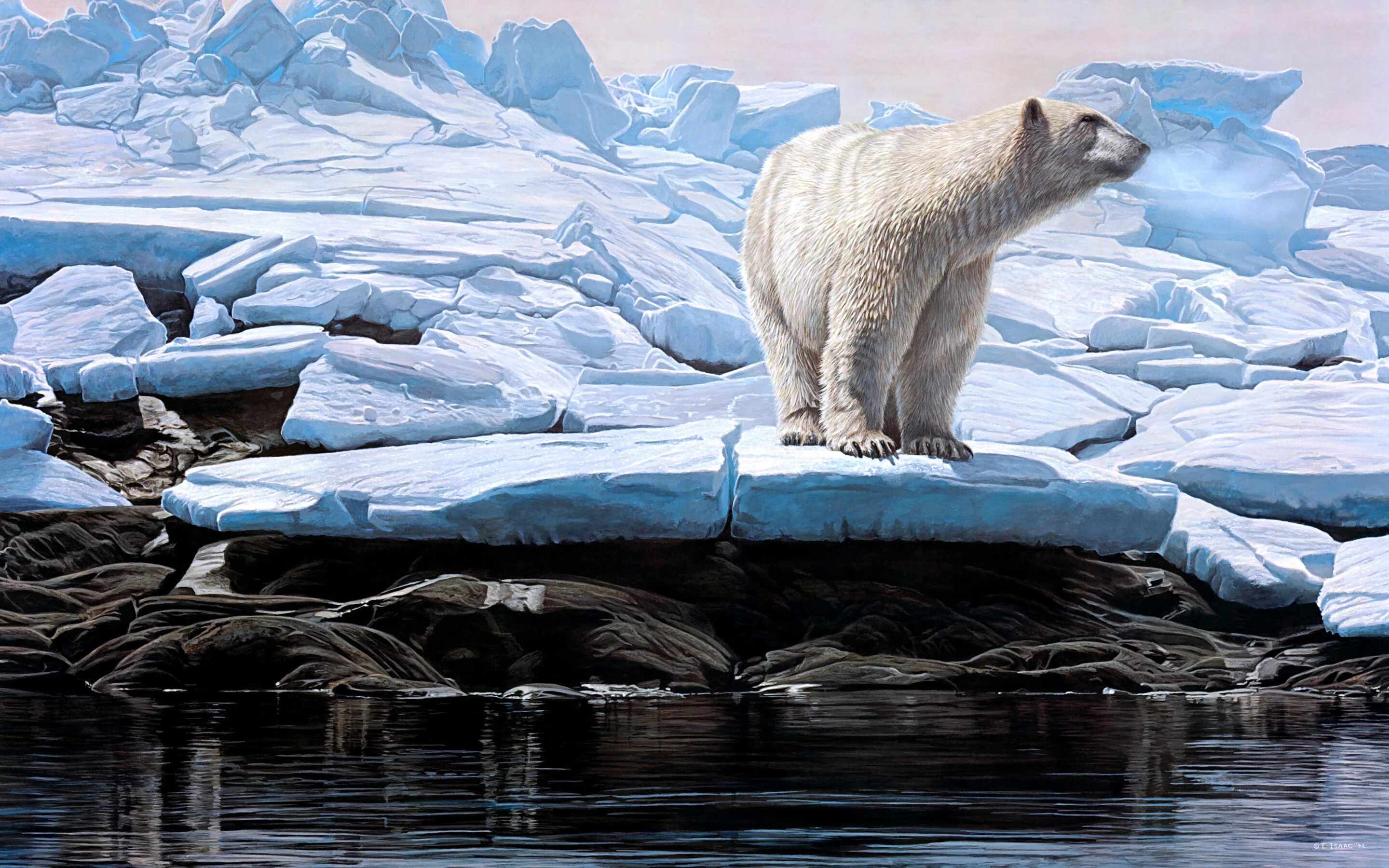 Найти слова льдина. Пейзаж с белыми медведями. Белый медведь на льдине. Полярный медведь. Белый медведь на льду.