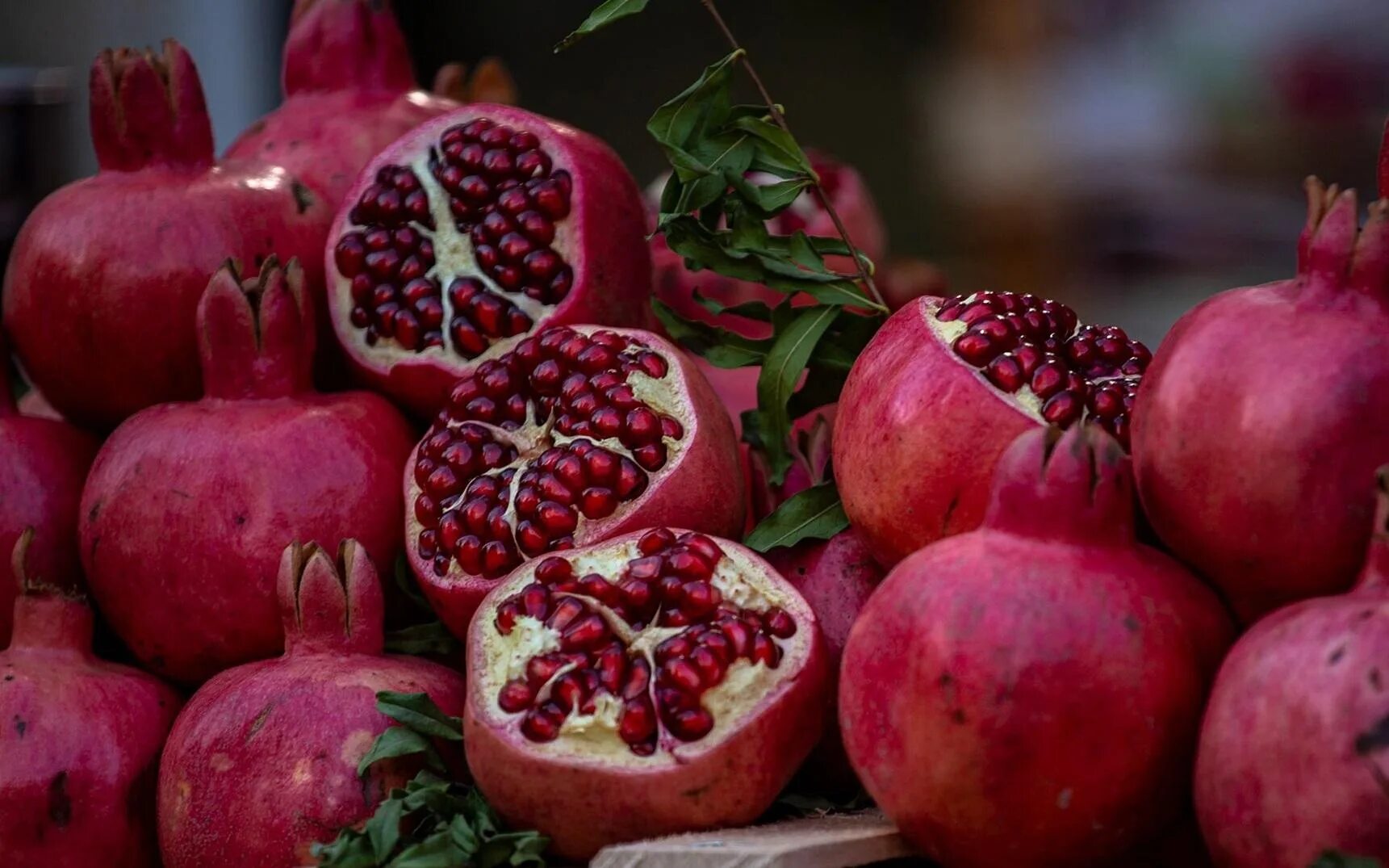 Азербайджан гранатовые плантации. Гранат сорт Дхолка. Гранат Pomegranate. Гранат азербайджанский. Гранат пг