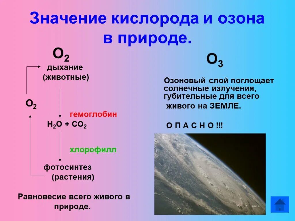 Сколько человек поглощает кислорода. Значение кислорода в природе. Кислород и Озон в природе. Значение кислорода и озона. Нахождение в природе кислорода и озона.