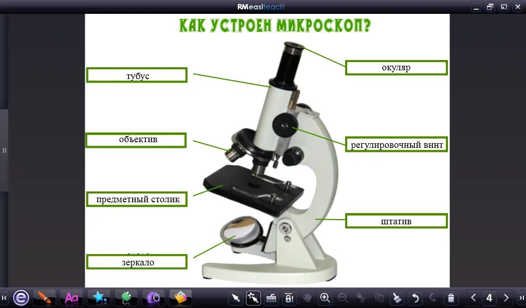 Строение микроскопа Levenhuk. Световой микроскоп строение микровинт. Микроскоп части микроскопа 5 класс. Оптический микроскоп строение. Какую роль играет объектив