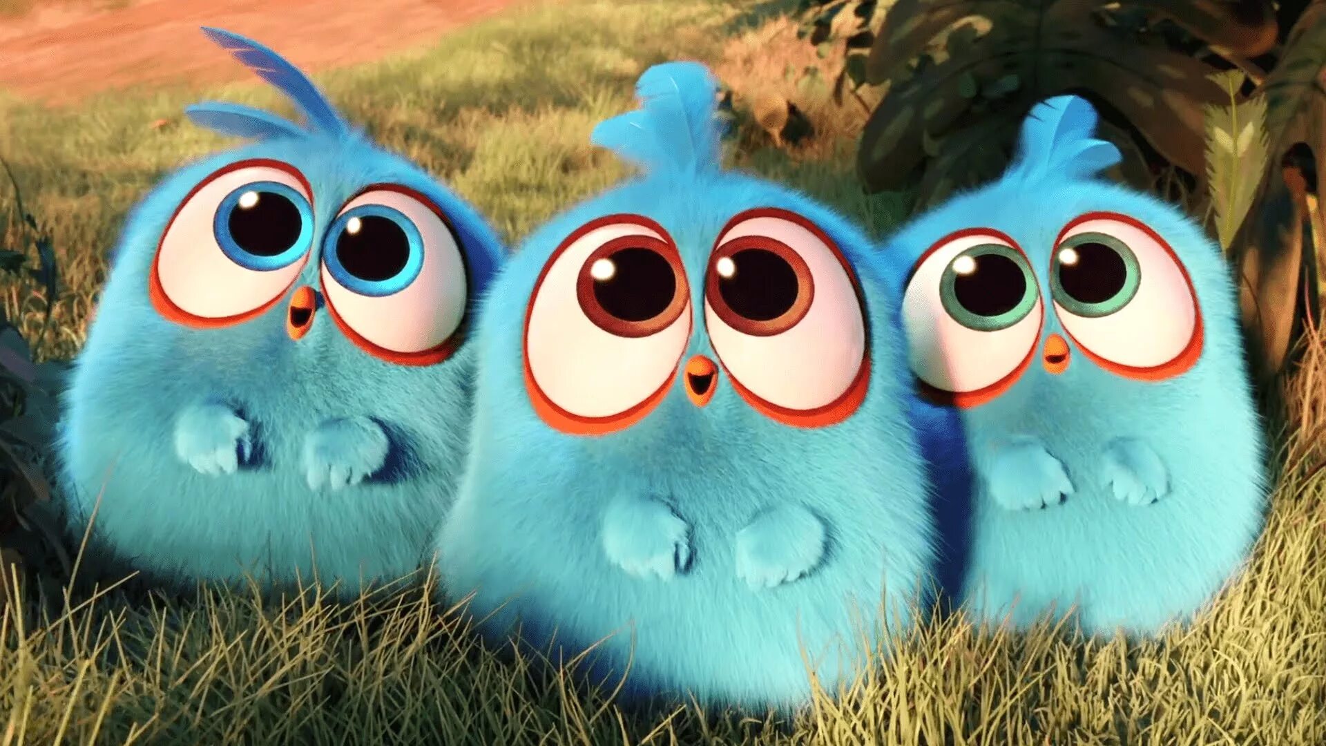 Прошу синими. Птенцы из Энгри бердз. Синяя Троица Angry Birds в кино. Энгри бердз мультики птенцы. Энгри бердз пушистики.