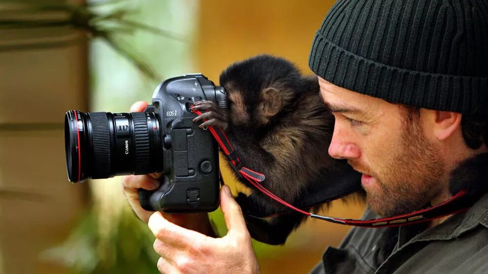 Съемка животных. Животные с фотоаппаратом. Обезьяна с фотоаппаратом. Фотографирует животных.