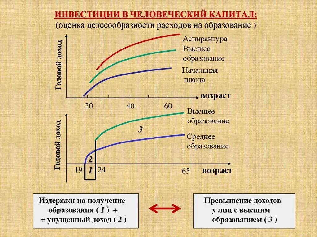 Человеческий капитал и экономический рост. Инвестиции в человеческий капитал. Человеческий капитал графики. Модель инвестирования в человеческий капитал.. Издержки инвестирования в человеческий капитал.