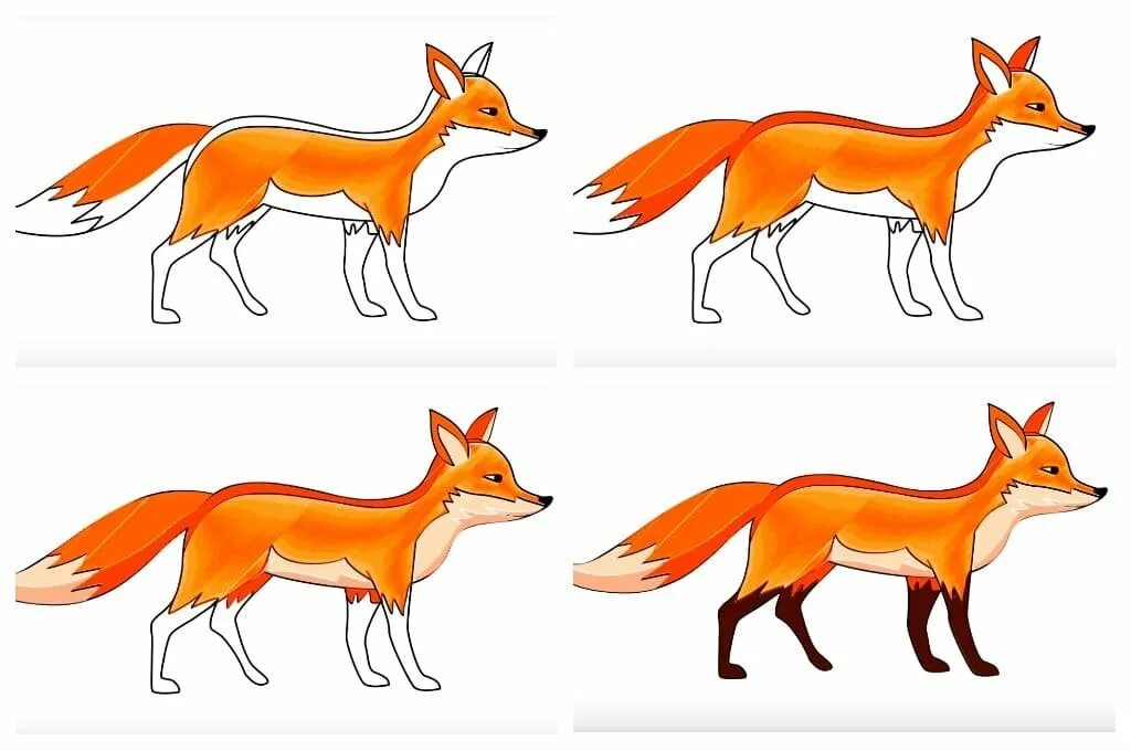 лиса карандашом. покажи рисунок лисицы. рисунок лисы. рисунок лисы. лиса картинка для детей на прозрачном фоне.