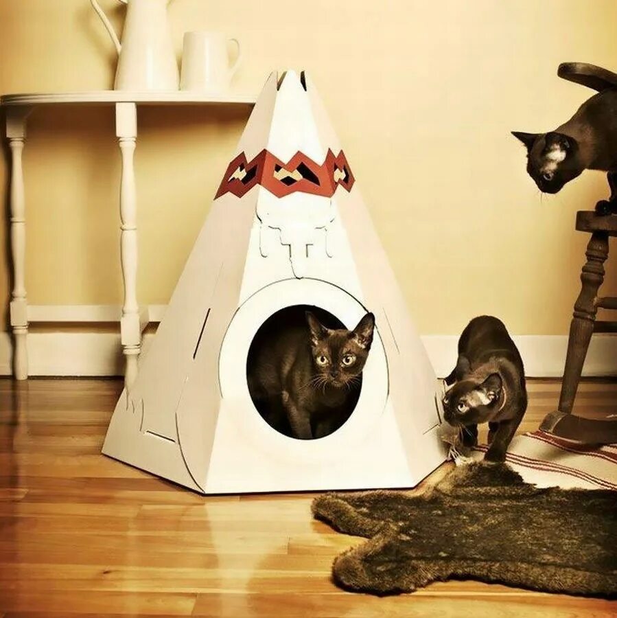 Идеи для кошек