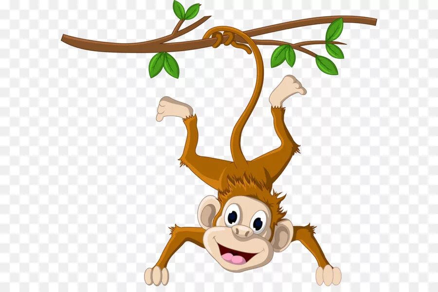 Monkey word