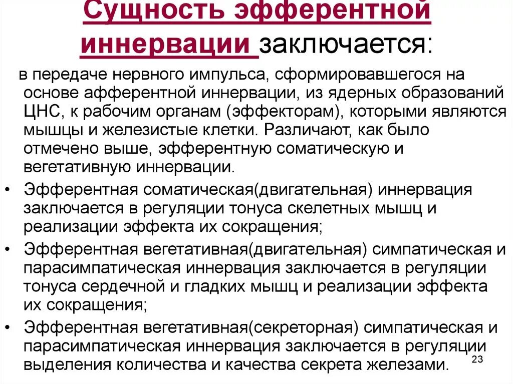 Строение эфферентной иннервации. Афферентная и эфферентная иннервация. Афферентная система. Афферентные нервы это. Афферентные и эфферентные.
