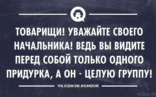 Видеть бывшего начальника. Фразы про начальника. Фразы про начальство. Смешные фразы про начальника. Прикольные фразы про начальника.