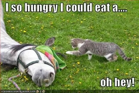 So i could