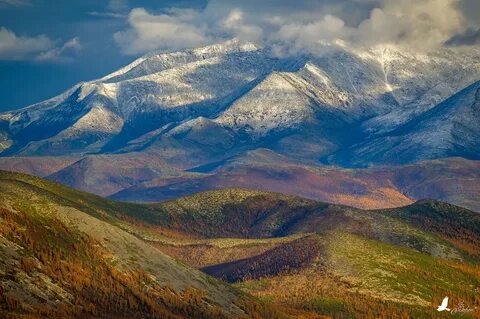Камчатка колыма