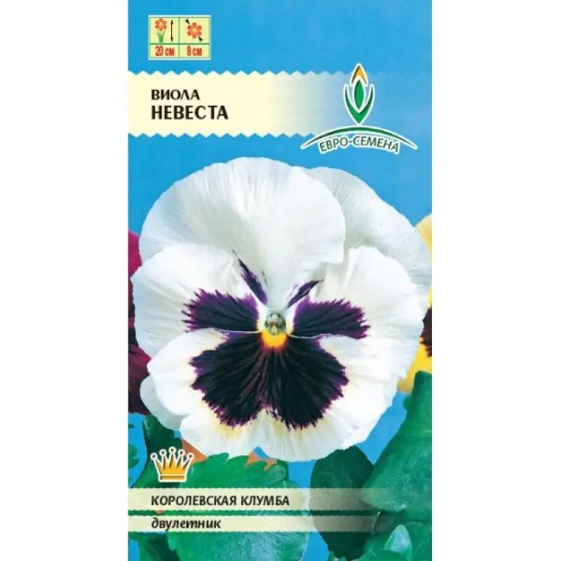Виола виттрока orchid. Виола виттрока танго морская. Виола сбор семян. Виола барон сиреневый. Виола виттрока барон сиреневый.