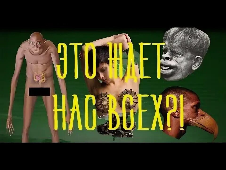 Как будет выглядеть 1000000 год Через миллион лет человек обязательно изменится