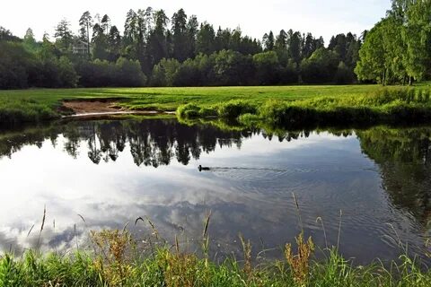 Горки сиверский