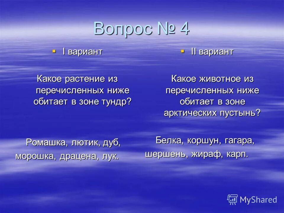 Тест по теме природные зоны. Эти птицы собираясь на скалистых берегах образуют птичьи базары. Природные зоны тест. Проверочная работа по арктической пустыне 4 класс. Животные арктики для 4 класса окружающий мир.