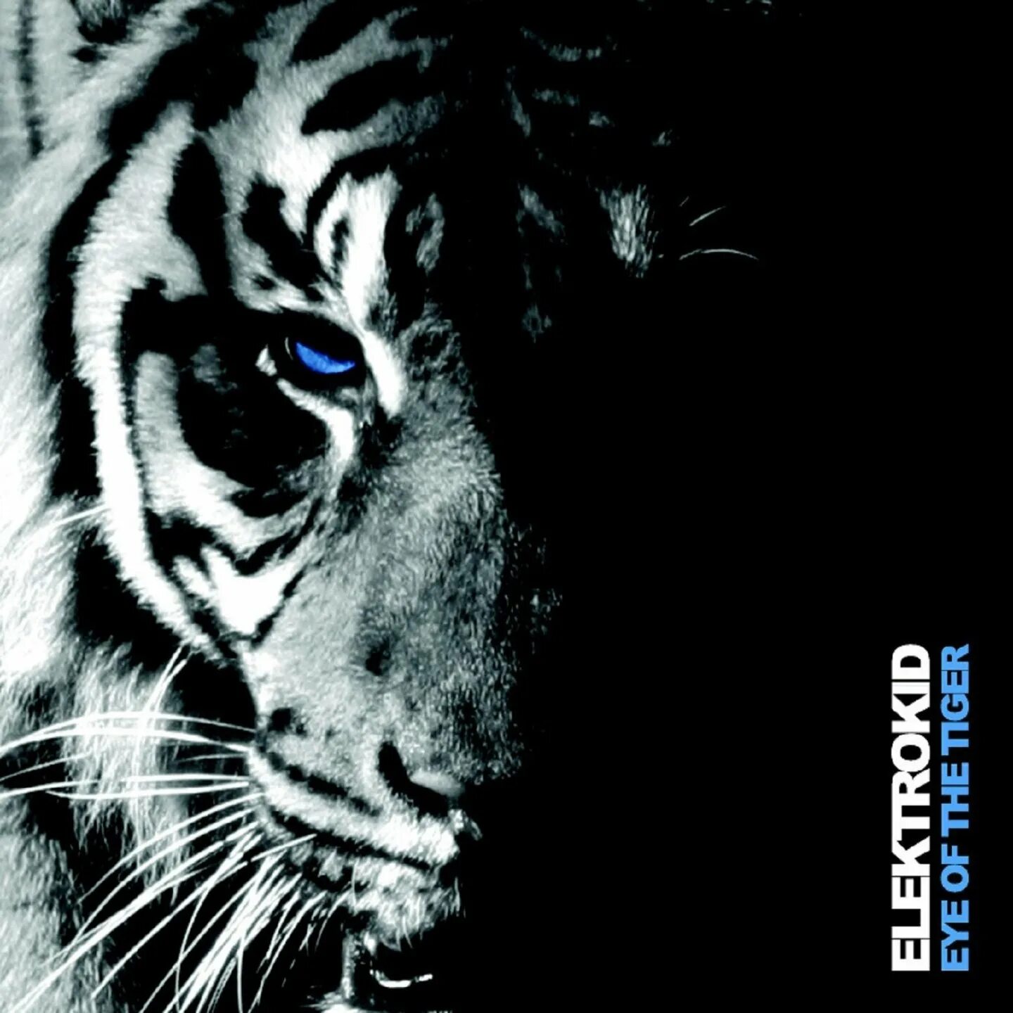 Survivor – eye of the tiger. Tiger eyes. East of the tiger. Eye of the tiger обложка. Дэйв биклер.