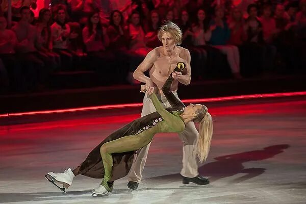 домнина ледниковый период