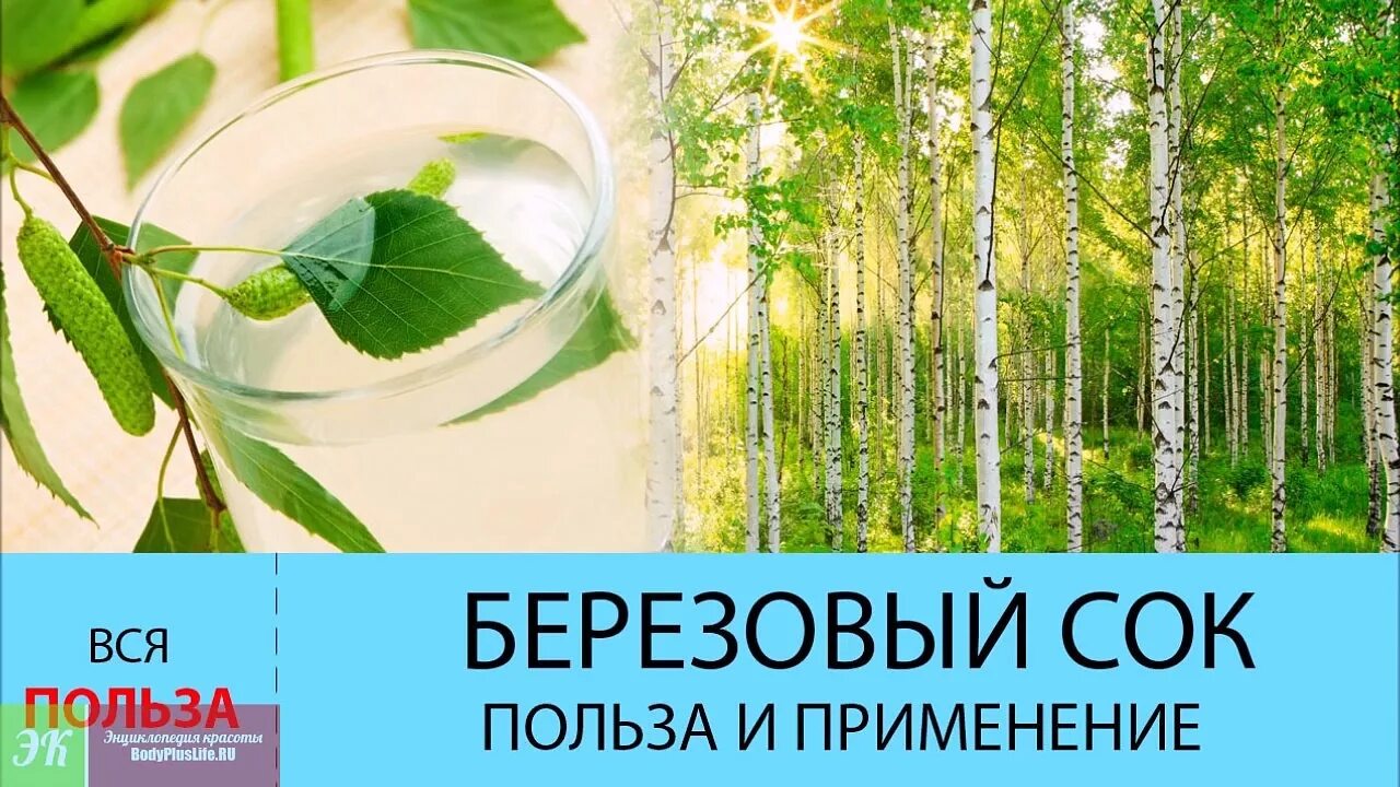 Березовый сок вода. Берёзовый сок. Этикетка берёзовый сое. Березовый сок этикетка на банку. Наклейка на банку березовый сок.