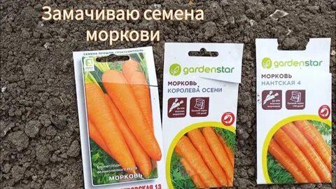 Сколько замачивать морковь