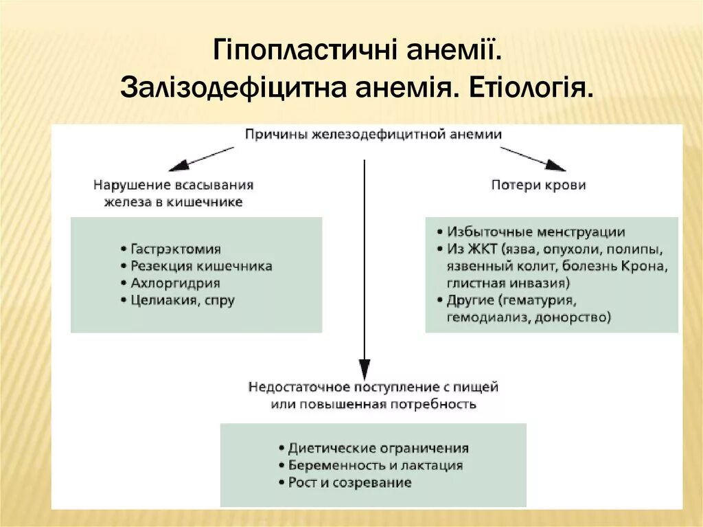 Железодефицитная анемия причины возникновения у женщин. Причины железодефицитной анемии. Основные причины железодефицитной анемии. Основная причина железодефицитной анемии. Анемия железодефицитная причины лечение