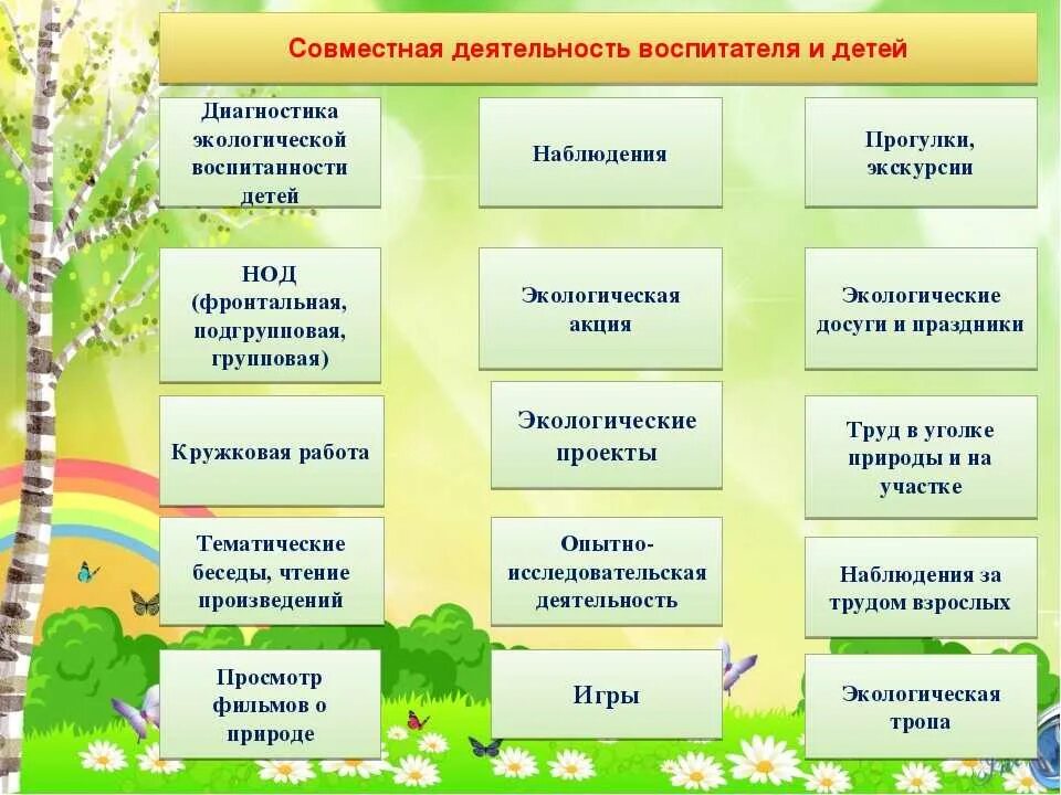 Нод образовательные области. Экологическое воспитание. Экологическое воспитание дошкольников. Методы и приемы экологического воспитания дошкольников. Экологическое воспитание в ДОУ.