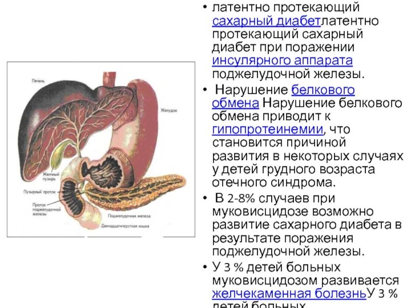 Как проверить печень и поджелудочную